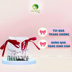 Túi Quà Tráng Gương Bạc Sang Trọng Có Nơ