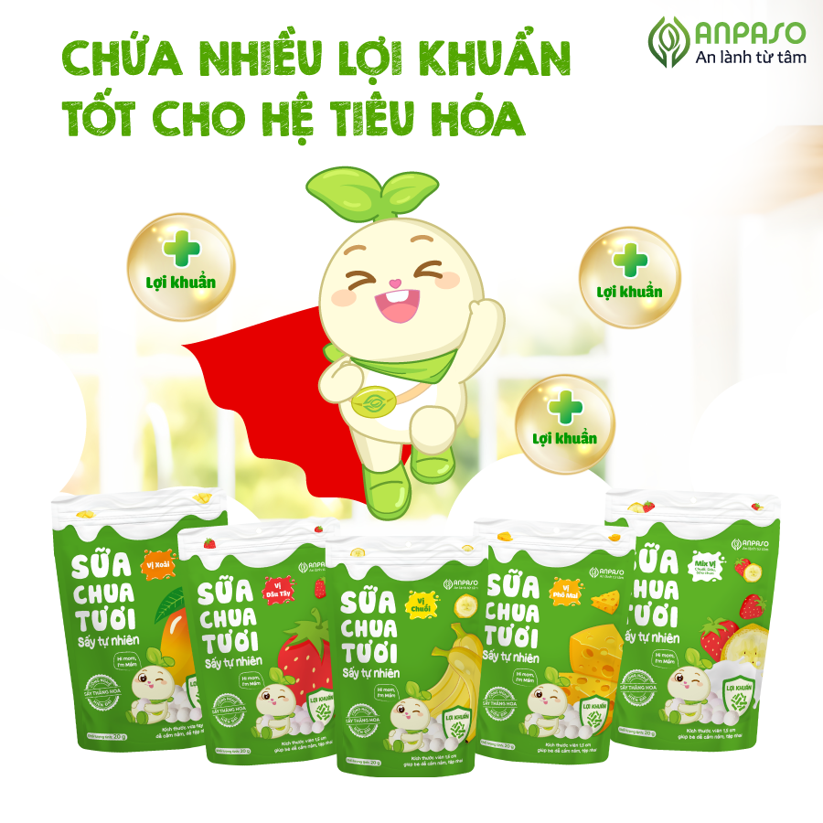  Sữa chua tươi sấy tự nhiên Anpaso 