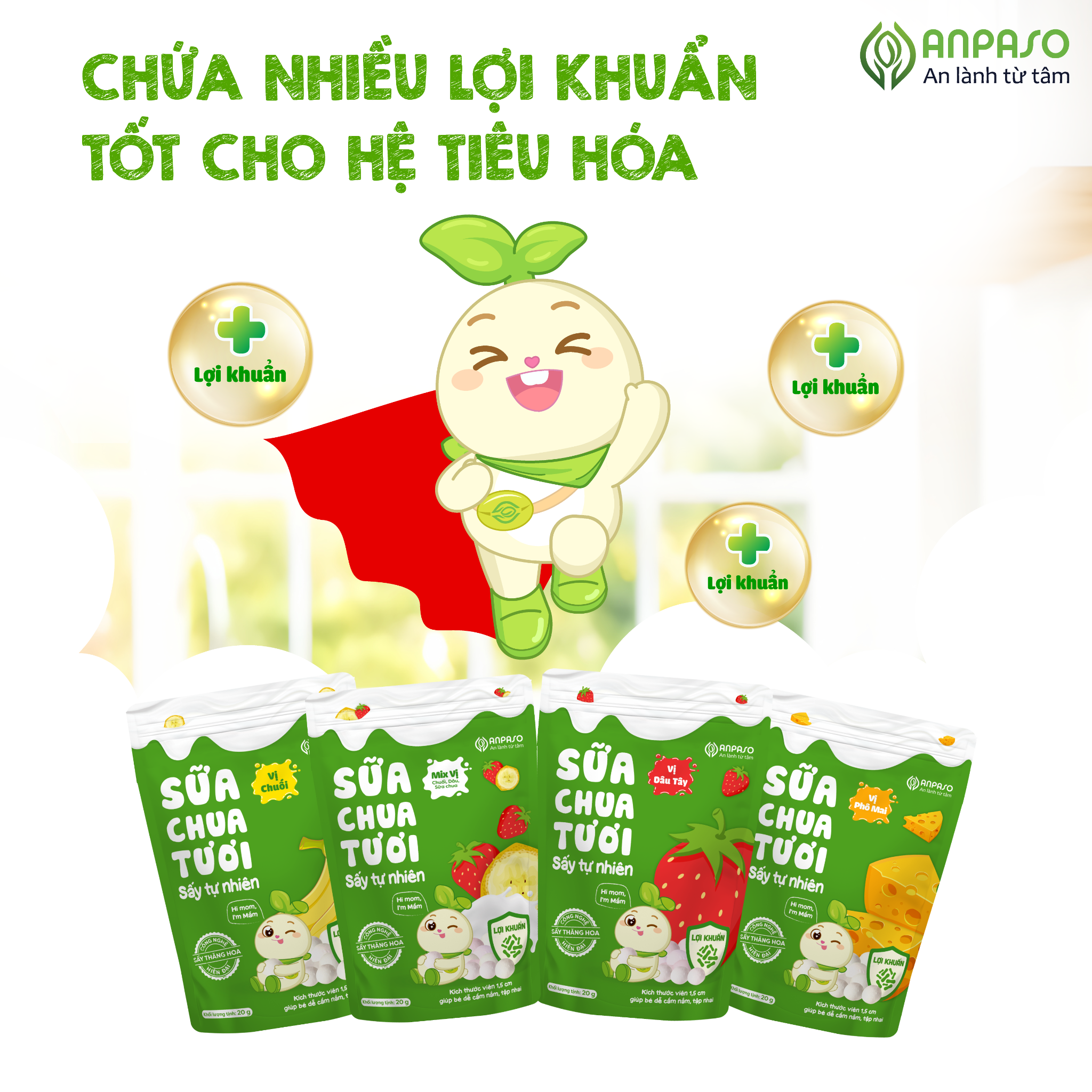  Sữa chua tươi sấy tự nhiên Anpaso 