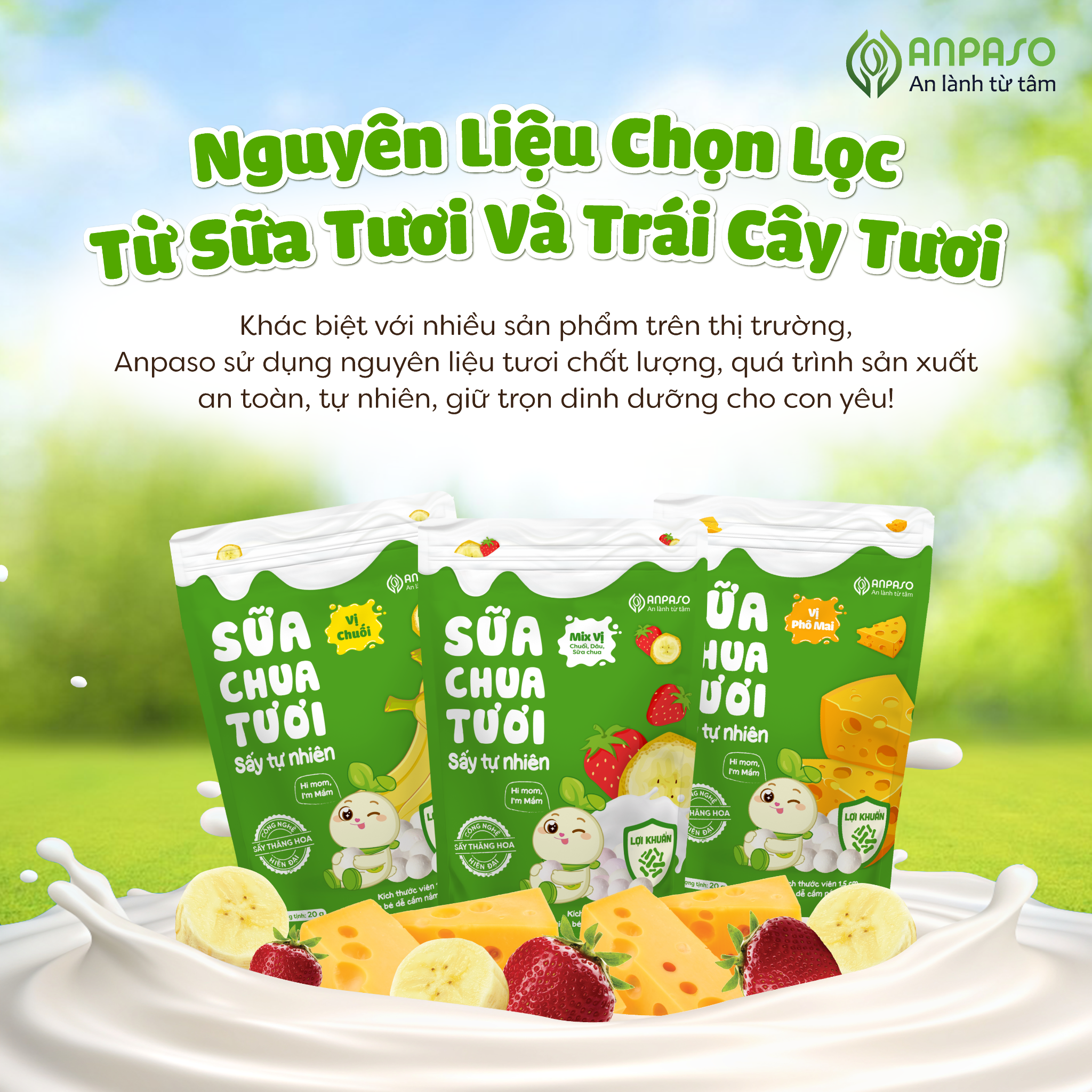  Sữa chua tươi sấy tự nhiên Anpaso 