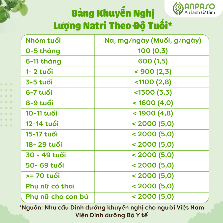  Bột nêm rau củ Anpaso 