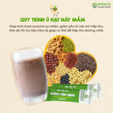  NGŨ CỐC DƯỠNG MẦM XANH 