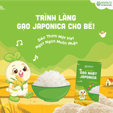  GẠO NHẬT JAPONICA ANPASO 1KG 