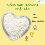  GẠO NHẬT JAPONICA ANPASO 1KG 
