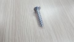 Vít đầu dù răng nhuyễn M5.5 màu trắng - HDSB378 - SC5527Z