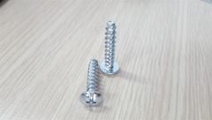 Vít đầu dù răng nhuyễn M5.5 màu trắng - HDSB378 - SC5527Z