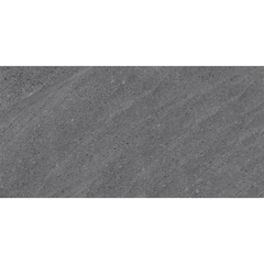 Gạch Grand Ceramic 40x80 C48SG611