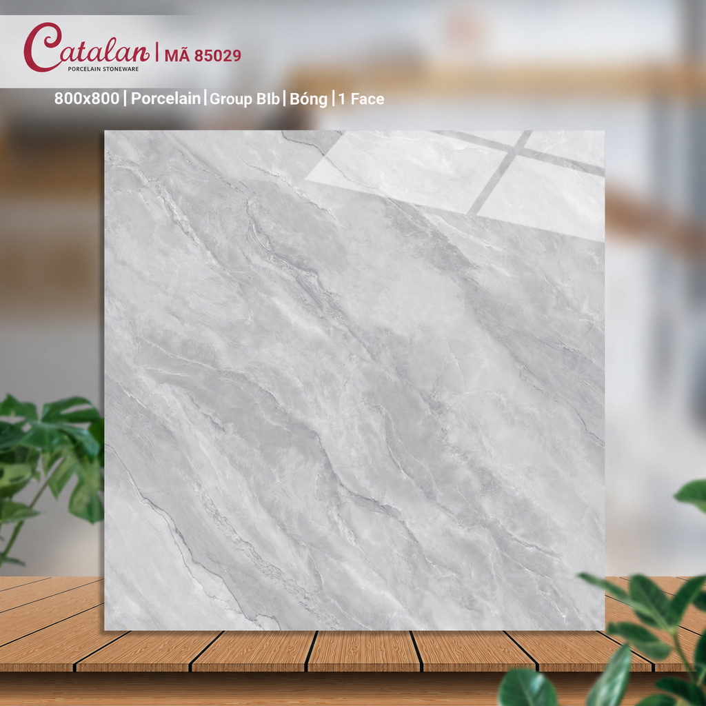 Gạch 80x80 Catalan 85029