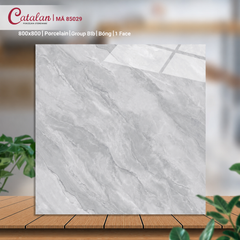 Gạch 80x80 Catalan 85029
