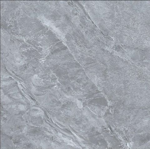 Gạch 40x40 TTC CT44202