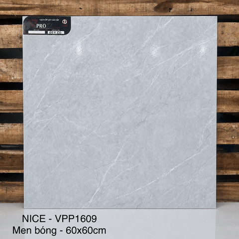 Gạch Nice 60x60 VPP1609