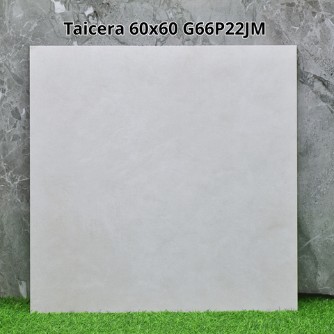 Gạch Taicera G66P22JM 60x60