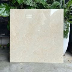 Gạch Grand 60x60 GCT-S66006P