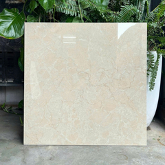 Gạch Grand 60x60 GCT-I66005P