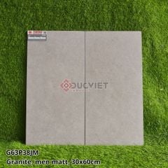 GẠCH 30X60 TAICERA G63P38JM