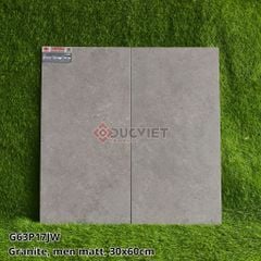 GẠCH 30X60 TAICERA G63P17JW