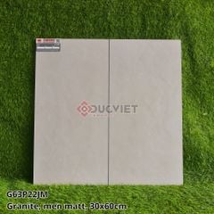 GẠCH 30X60 TAICERA G63P22JM