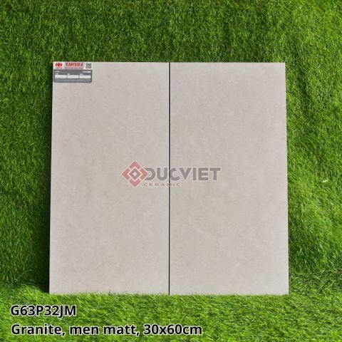 GẠCH 30X60 TAICERA G63P32JM