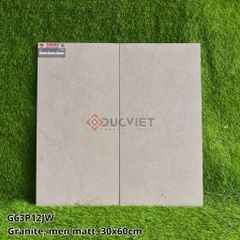 GẠCH 30X60 TAICERA G63P12JW