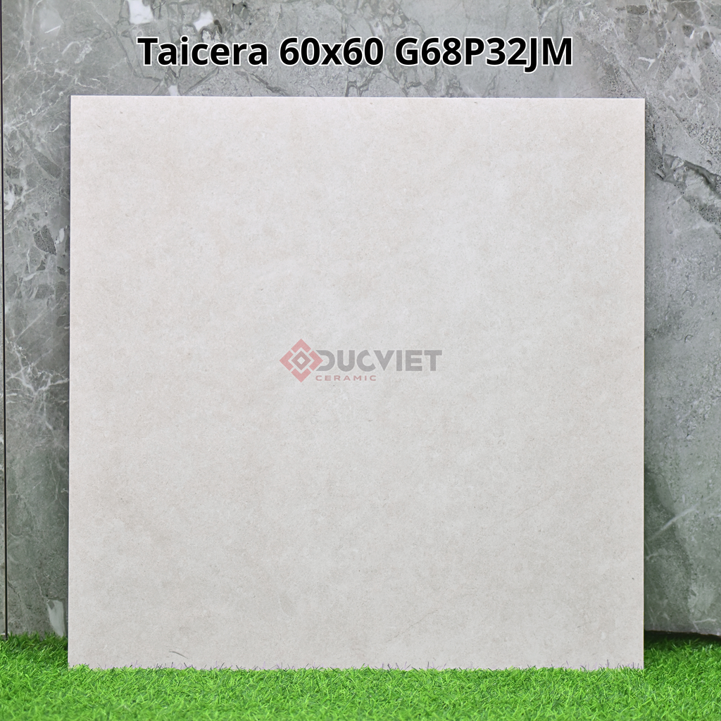 Gạch Taicera G66P32JM 60x60