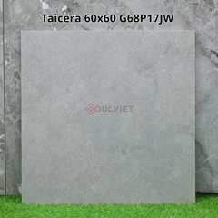 Gạch Taicera G66P17JW 60x60