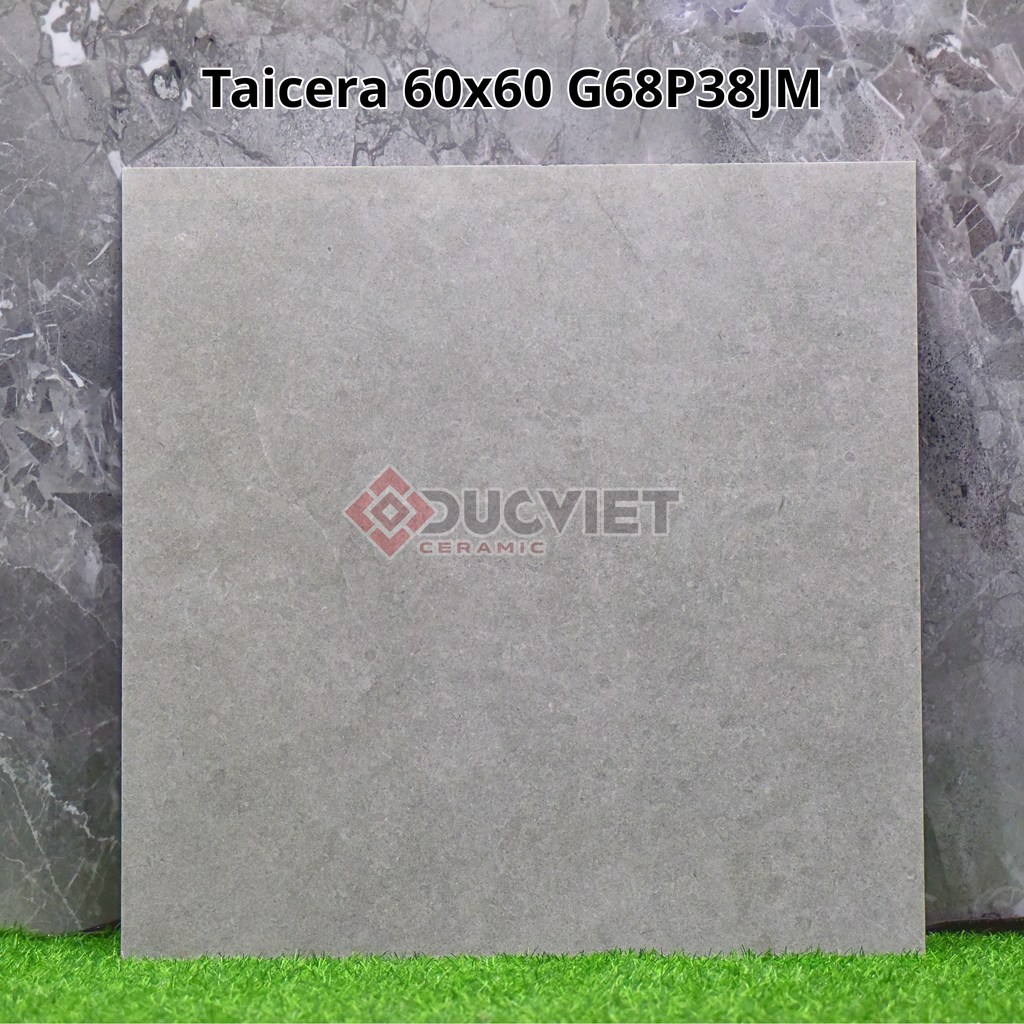 Gạch Taicera G66P38JM 60x60