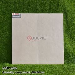 GẠCH 30X60 TAICERA G63P23JM