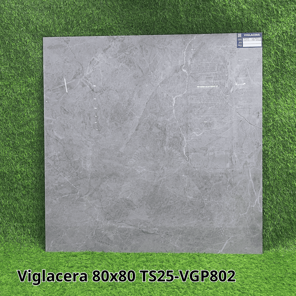 Gạch Viglacera 80X80 TS25-VGP802