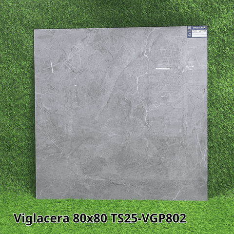 Gạch Viglacera 80X80 TS25-VGP802