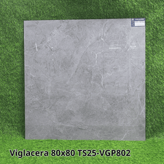 Gạch Viglacera 80X80 TS25-VGP802
