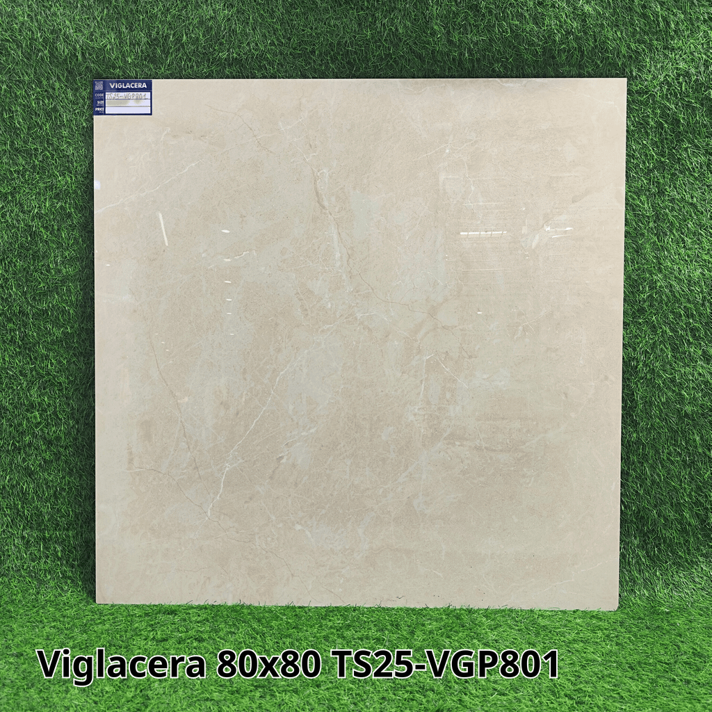 Gạch Viglacera 80X80 TS25-VGP801