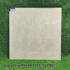Gạch Viglacera 80X80 TS25-VGP801
