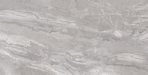 Gạch 40x80 TTC WB48022