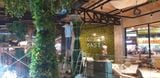  Chuỗi Coffee Amazone 