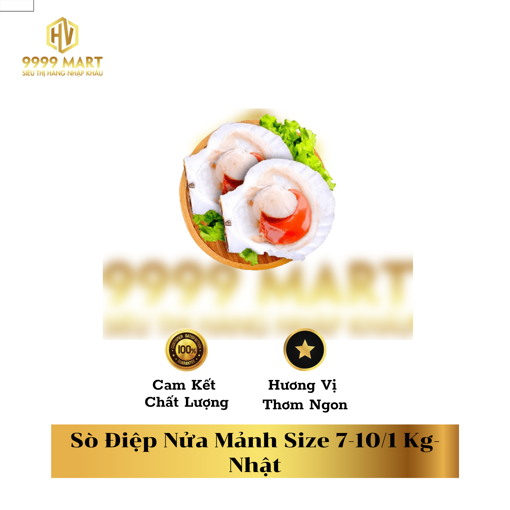  Sò Điệp Nửa Mảnh Size 7-10/1 Kg- Nhật 