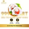  Còi Sò Điệp Nữa Mảnh Nhật 