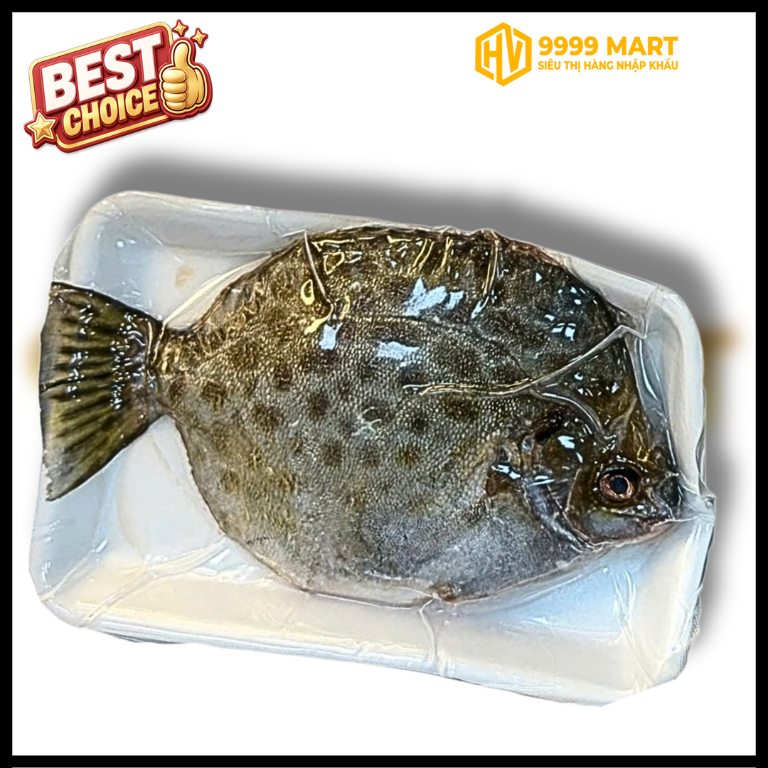  Cá Nâu Size 200g Up (Kg) 