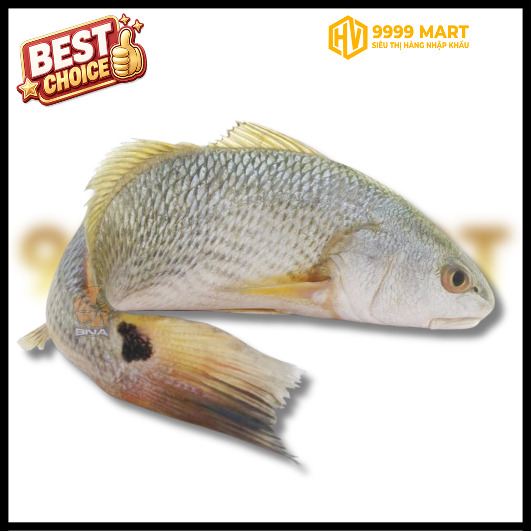  Cá Hồng Mỹ Phú Yên - Kg 