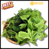 Cải Trời (Làm Sạch) Kg | 9999mart