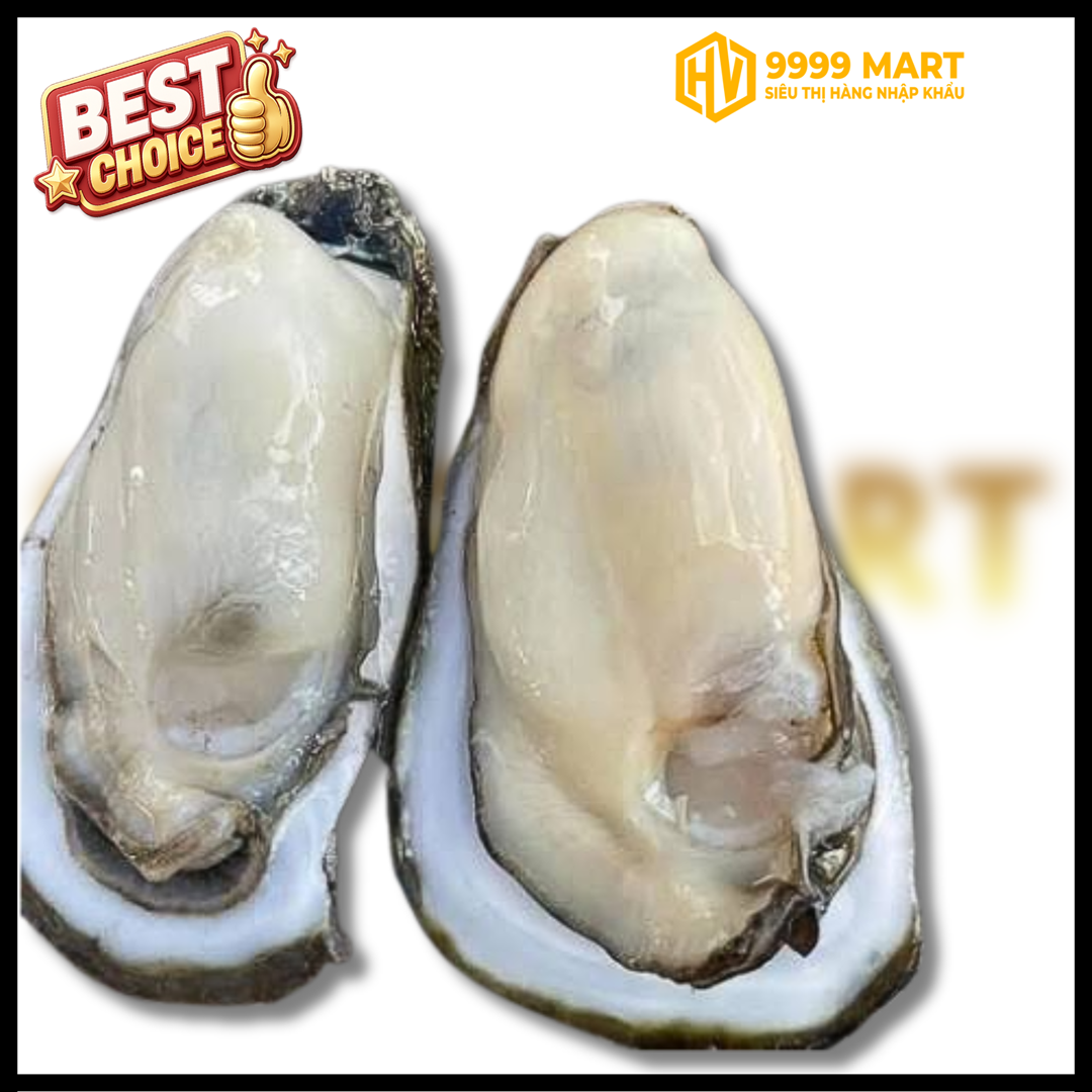  Hàu Đại Dương Size 2l (4-6 Con/Kg) 