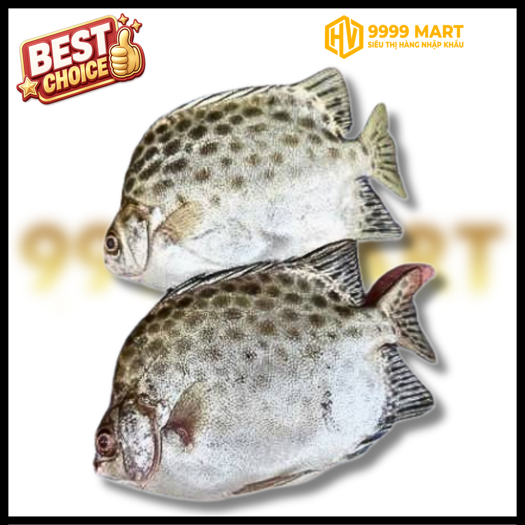  Cá Nâu Size 300g Up (Kg) 