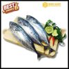 Cá Ngừ Ô Kẹo (Kg) | 9999mart