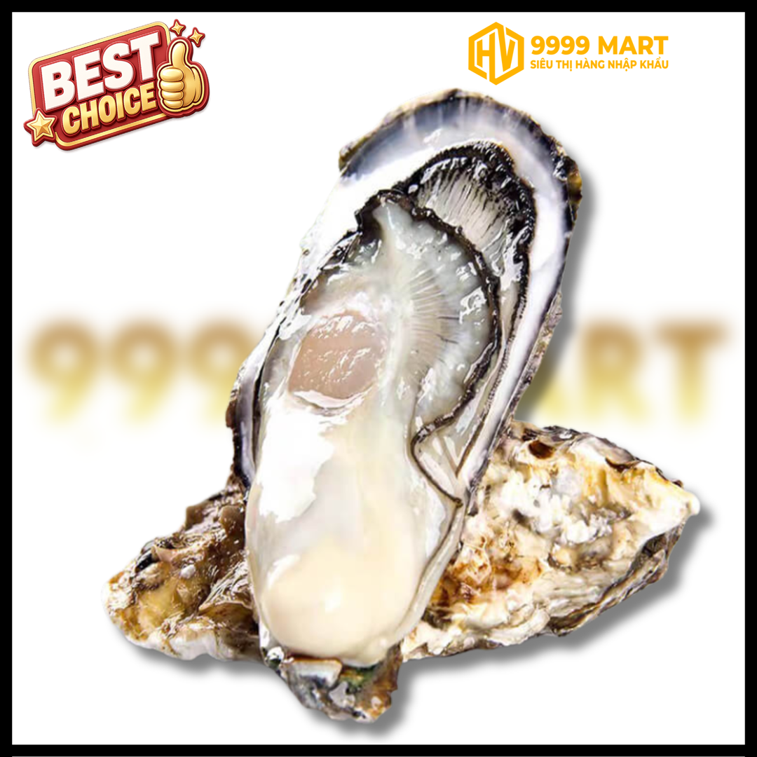  Hàu Đại Dương Size 3l (3-4 Con/kg) 