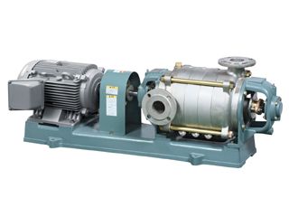  Máy bơm xoắn ốc SM Teral 