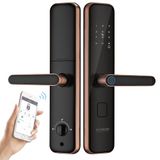  Khóa điện tử WIDMANN F28 [Vân tay - Thẻ từ - Mã Số - APP] 