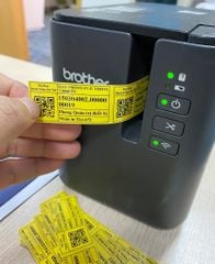 Máy in nhãn Brother PT P900W