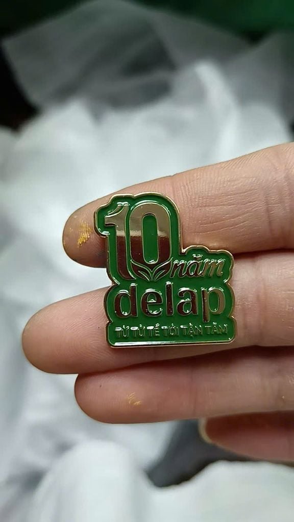 Huy hiệu cài áo kỷ niệm năm thành lập công ty - Hợp kim đúc khuôn