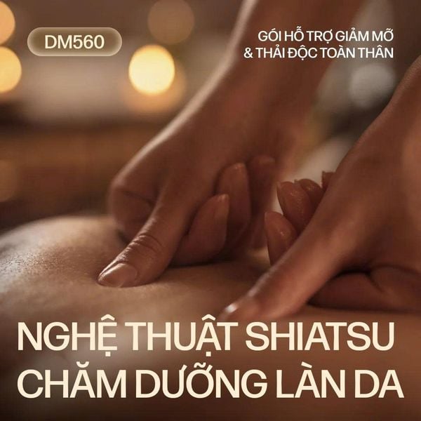  DM560 - SHIATSU FULL BODY SLIM & DETOX 