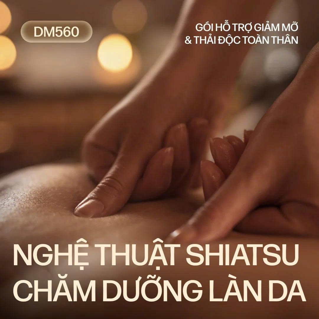  DM560 - SHIATSU FULL BODY SLIM & DETOX 