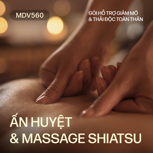  DM560 - SHIATSU FULL BODY SLIM & DETOX 